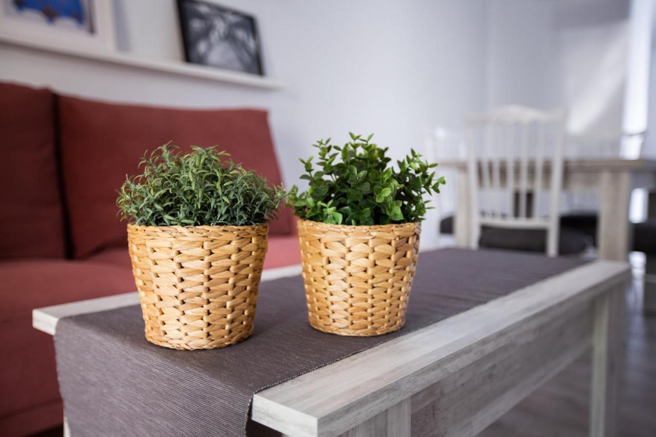 Apartamento Turistico Mis Rayitos Cordoba Dış mekan fotoğraf