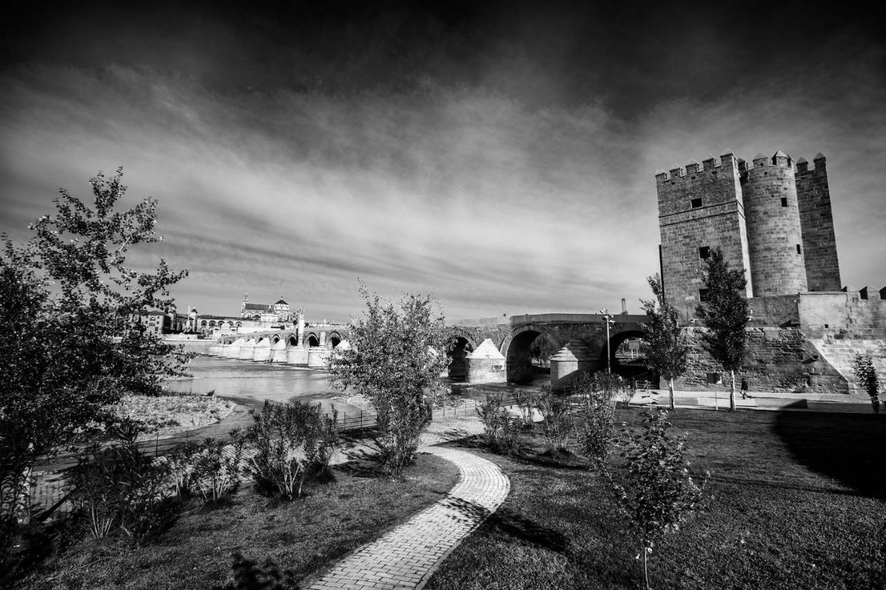 Apartamento Turistico Mis Rayitos Cordoba Dış mekan fotoğraf
